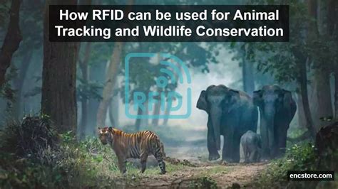 rfid for wild animals